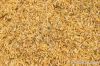 Rice Husk