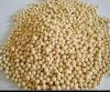 13X molecular sieve