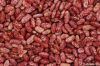 Chinese Red Speckled K...