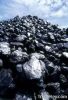 steam coal suppliers,s...