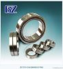 Cylindrical Roller Bearing