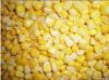 IQF Sweet Corn whole k...