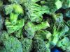 IQF Green Broccoli Flo...