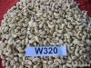 Raw Cashew Nut W240 | W320 | W450 