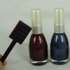 2012 hot sale Magnetic nail polish