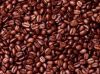 Export Coffee Beans | ...