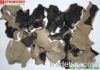 DRIED BLACK FUNGUS