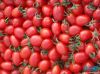 cherry tomato