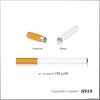 electronic cigarette