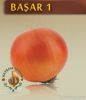 Basar1