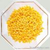 IQF sweet corn kernels