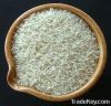 Rice | Rice Exporter |...