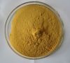 Ginkgo Biloba leaf Extract