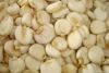 Maize | Maize Exporter...