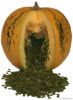 Snow White Pumpkin Seeds