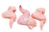 Export Chicken Meat | ...