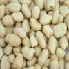 New crop blanched peanut kernels