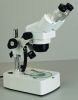 stereo microscope