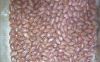 Peanut kernels 24/28
