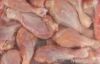 Export Chicken Meat | ...