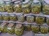 Pickled gherkin 6-9cm ...