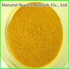 Goji Extract Powder