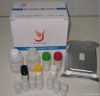 Nitrofuran (AMOZ) ELISA Test Kit