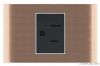 wall switch and socket