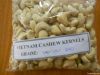 Raw Cashew Nuts & Roasted Cashew Nuts | Dried Fruits | W240 Cashew Nuts Suppliers | W320 Cashew Nut Exporters |Buy  WW230 Cashew Nut