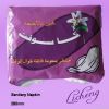 Ultra-Thin Sanitary Napkin