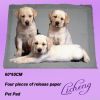 Fashion Pet Pads (LCPP-002)