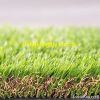 garden lawn