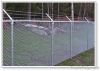 Chain Link Fence