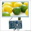 3.5 Inch LCD Module