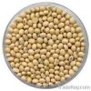 organic soybean