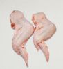 EXPORT GRADE HALAL FRO...