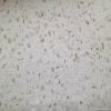 QuartzStone(Single color)Quartz slabs, Quartz Tiles, Quartz Countertop