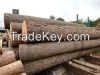 FRESH CUT PINE LOGS, S...