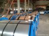 Galvainzed Steel Coil