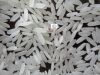 Jasmine rice