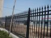 Yard Iron Fence