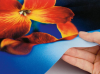 Sublimation transfer paper