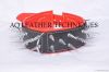Leather Dog Collar