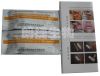 Drug Abuse Test (Saliv...
