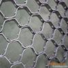 toroise shell mesh