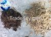 Sugarcane Bagasse Pellet