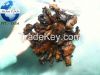 CASHEW NUT SHELL RESID...