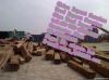 customs clearance offi...