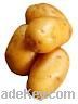 Fresh Potatoes