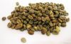 VIETNAMESE ROBUSTA GRE...